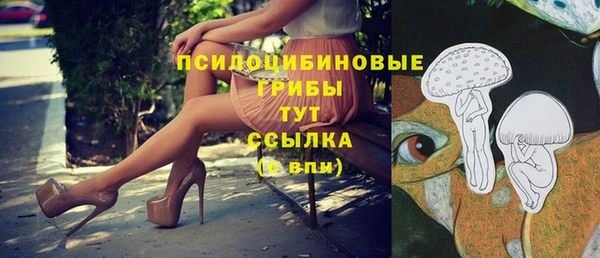 спайс Бородино