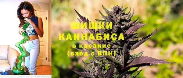 спайс Бородино